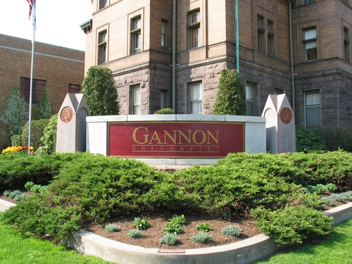 gannon university physician assistant program