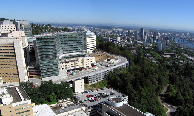 ohsu physician assistant program